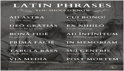 A Profile Of A Latin Beauty